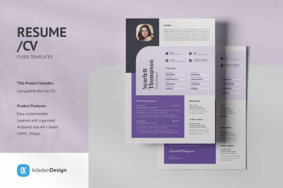 Professional Resume CV PSD Templates Vol 203: A Practical Guide